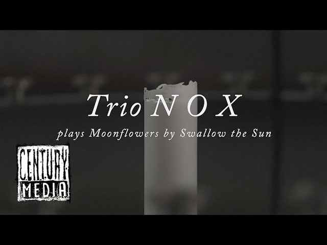 Swallow The Sun